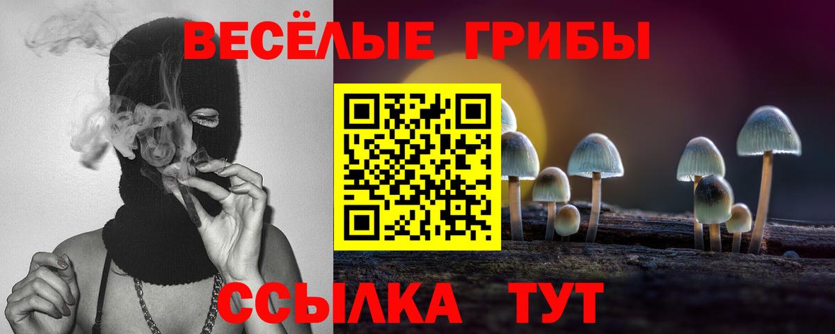 Малоярославец  Псилоцибиновые грибы Magic Shrooms  Галлюциногенные грибы MAGIC MUSHROOMS  Вход с VPN 